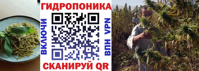 где купить   Магнитогорск  Canna-Cookies конопля 