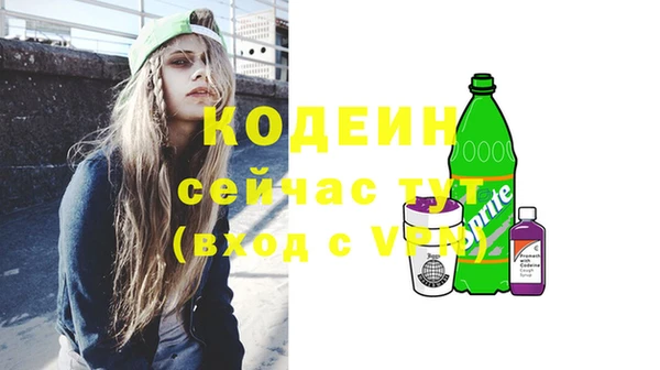 прущий лед Абаза