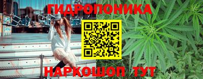 прущие грибы Гусь-Хрустальный