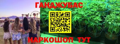 прущие грибы Гусь-Хрустальный