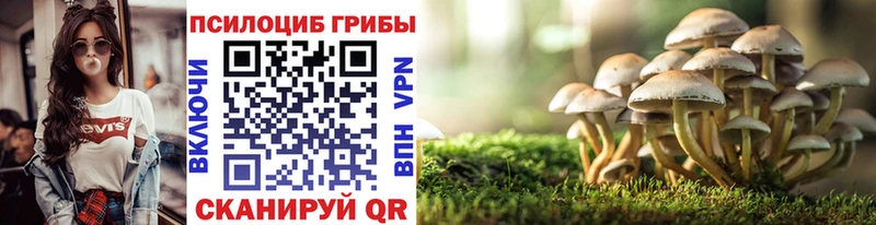 Галлюциногенные грибы Magic Shrooms  где продают   Магнитогорск 